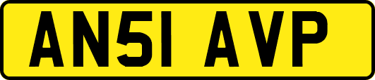 AN51AVP