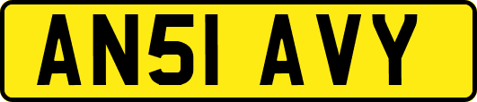 AN51AVY
