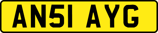 AN51AYG