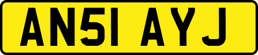 AN51AYJ