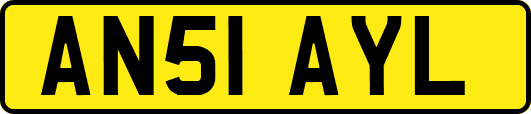 AN51AYL