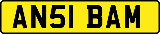 AN51BAM