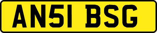 AN51BSG