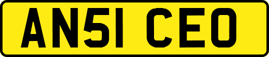 AN51CEO