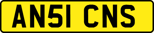 AN51CNS