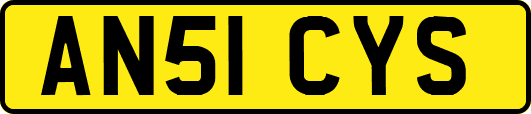 AN51CYS