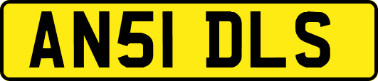 AN51DLS