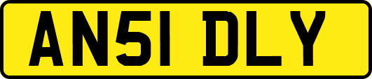 AN51DLY