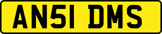 AN51DMS