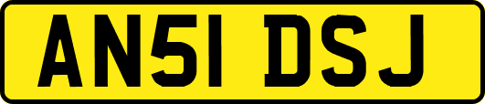 AN51DSJ