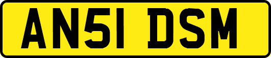 AN51DSM
