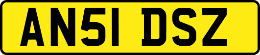 AN51DSZ