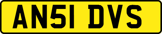 AN51DVS
