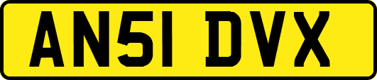 AN51DVX