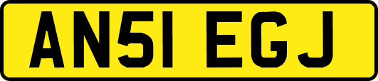 AN51EGJ