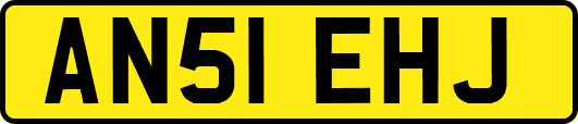 AN51EHJ