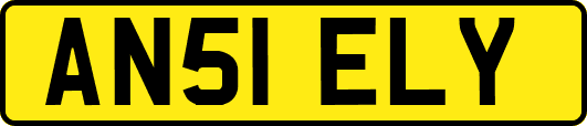 AN51ELY