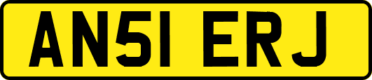 AN51ERJ