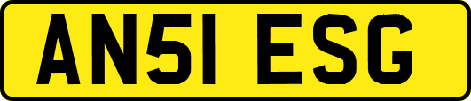 AN51ESG