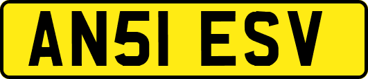AN51ESV
