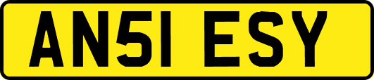 AN51ESY