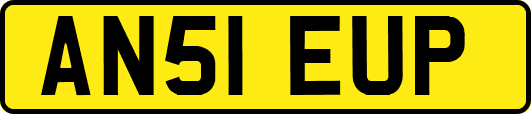 AN51EUP