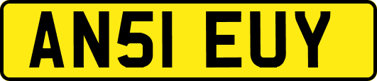 AN51EUY