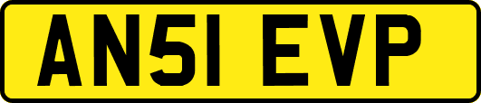 AN51EVP