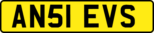 AN51EVS