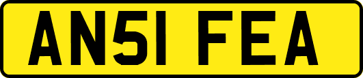 AN51FEA