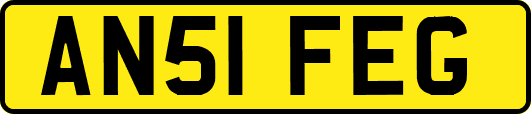 AN51FEG