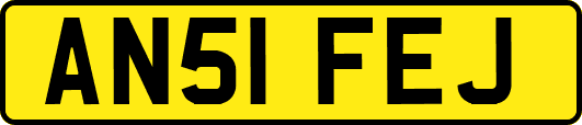 AN51FEJ