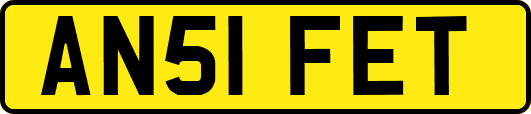 AN51FET