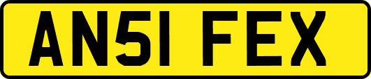 AN51FEX