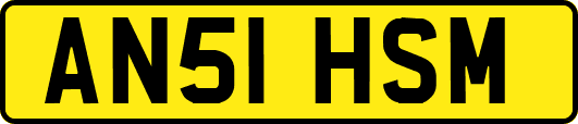 AN51HSM