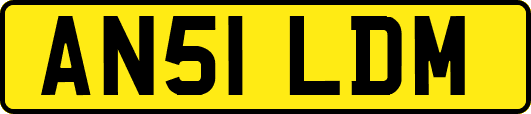 AN51LDM