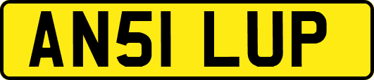 AN51LUP