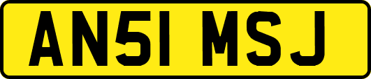 AN51MSJ