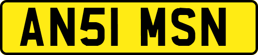 AN51MSN