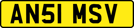 AN51MSV