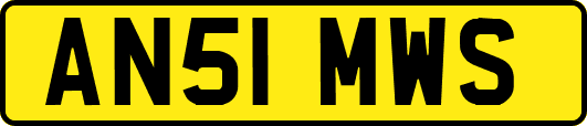 AN51MWS