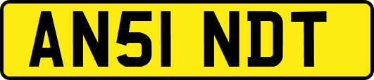 AN51NDT