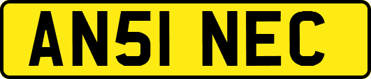 AN51NEC