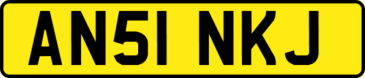 AN51NKJ