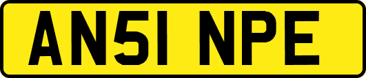 AN51NPE