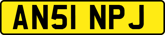 AN51NPJ