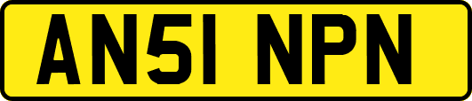 AN51NPN