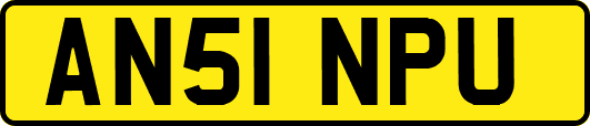AN51NPU