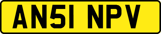 AN51NPV