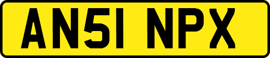 AN51NPX